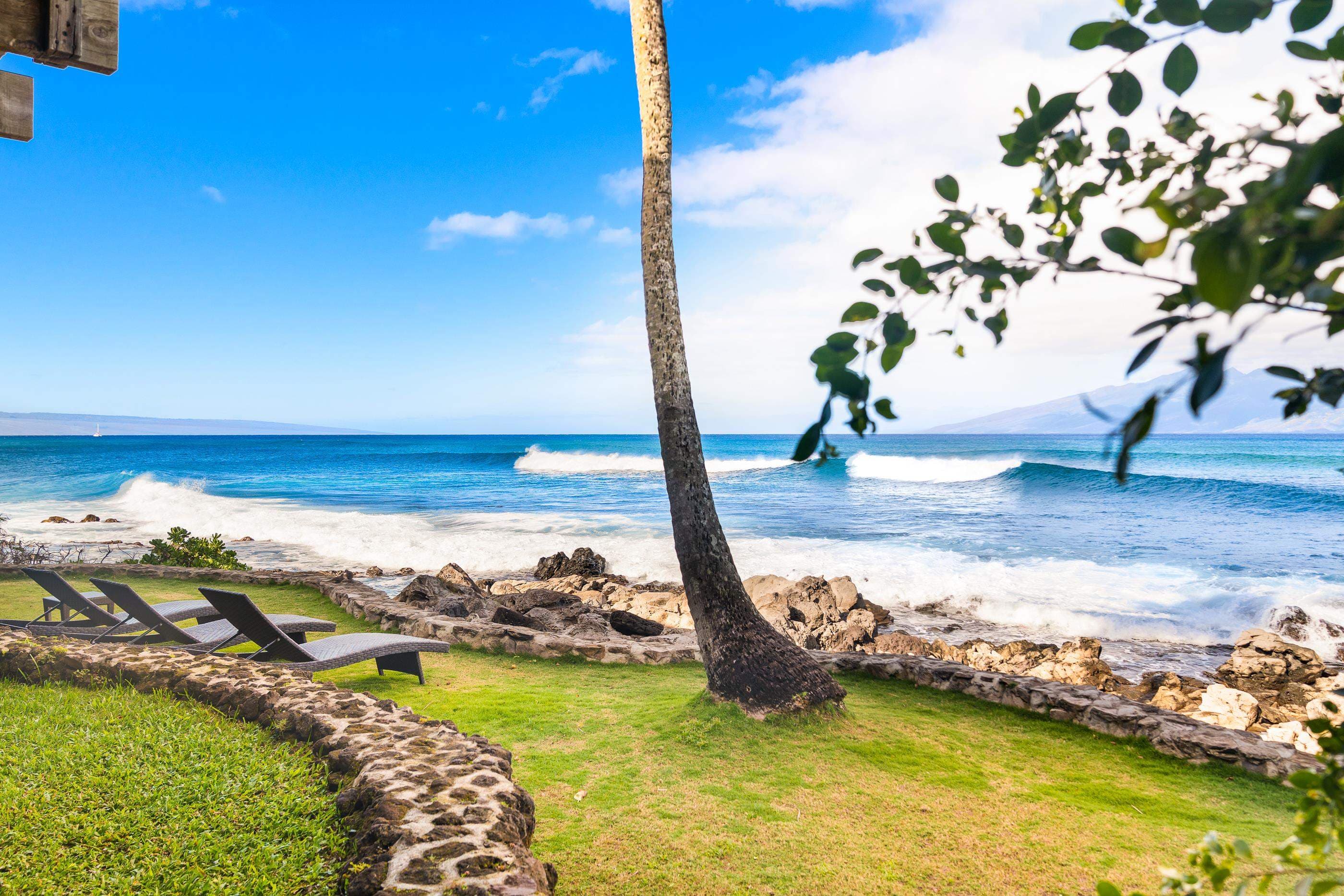 The leaning coconut palm at the shoreline, loungers on the lawn beside the break