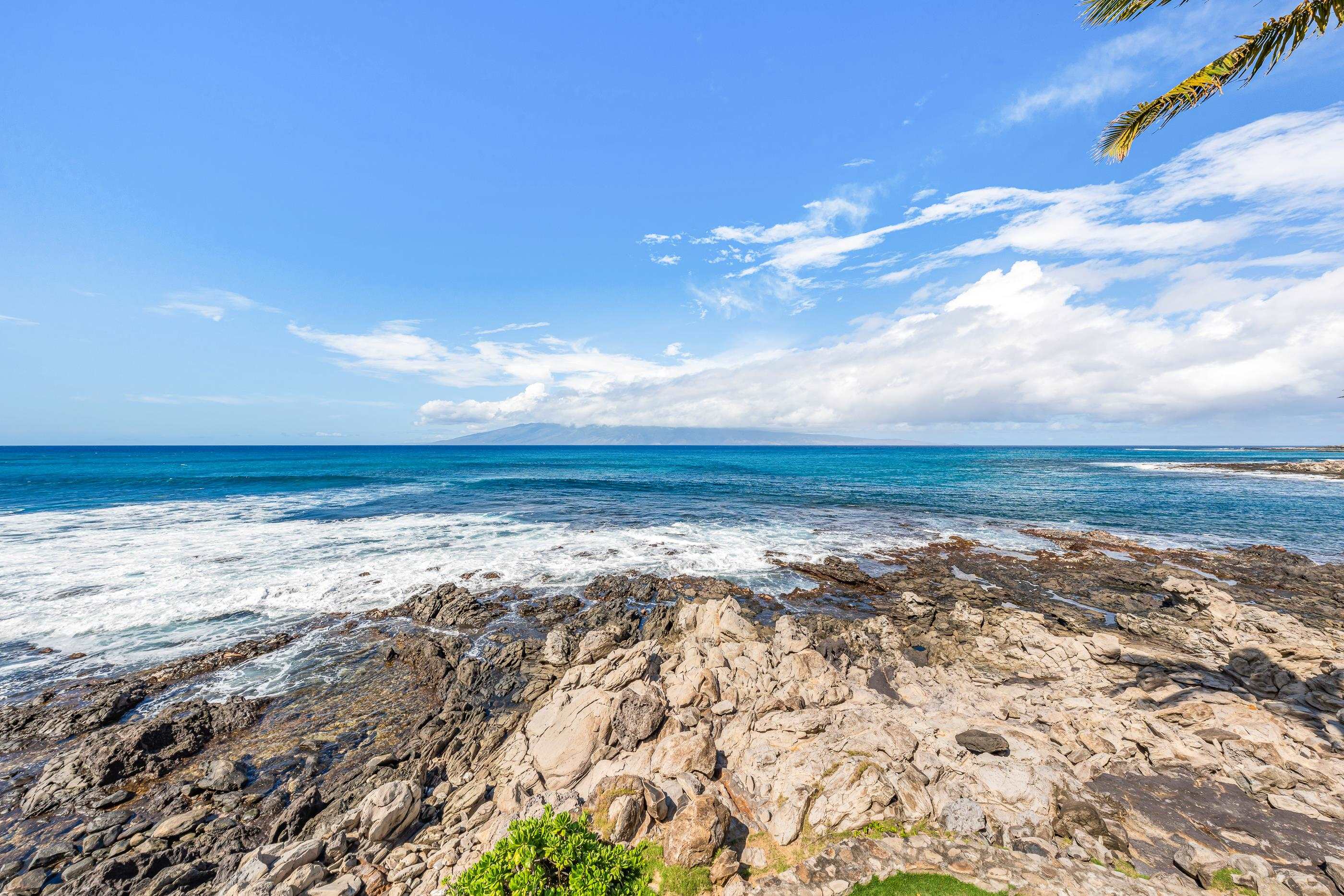 The lava-rock shoreline running out from the yard into the open ocean